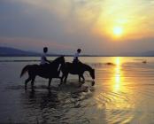 Horse riding - Southern African 20 Day - AAA Travel