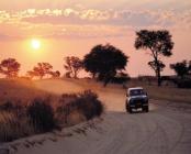 Kgalagadi Transfrontier Park - Southern African 20 Day - AAA Travel